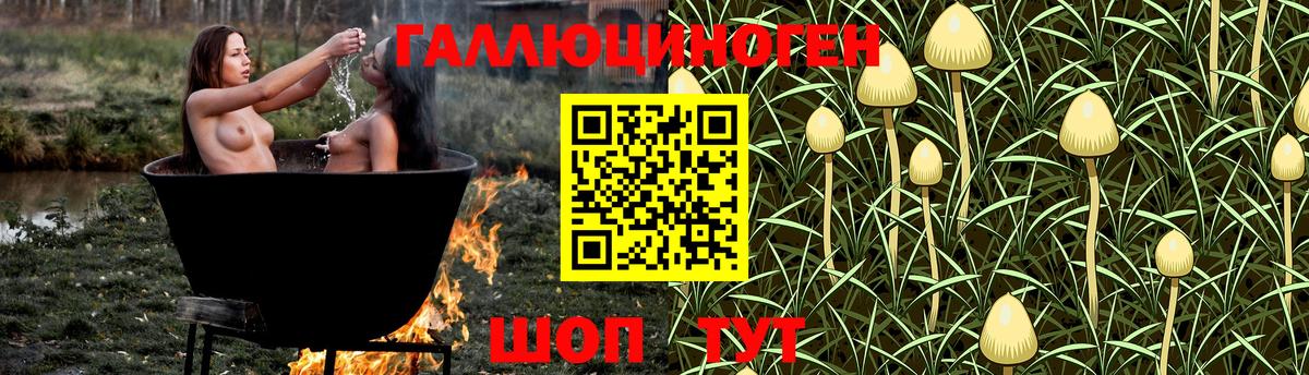 Саяногорск  Галлюциногенные грибы прущие грибы  Вход с VPN 